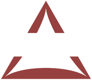 The Berenyi Life Blueprint - Berenyi Consulting - Leadership Training and Mentoring