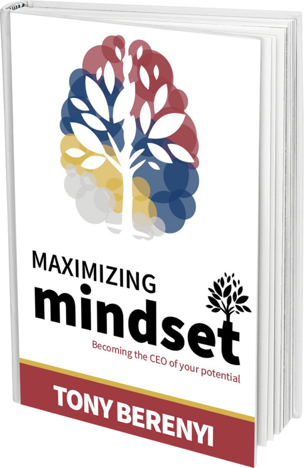 Maximizing Mindset